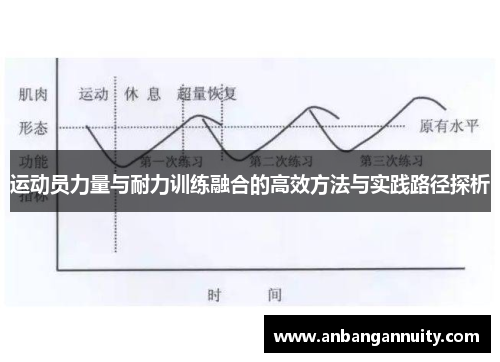 运动员力量与耐力训练融合的高效方法与实践路径探析