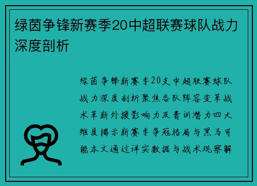 绿茵争锋新赛季20中超联赛球队战力深度剖析