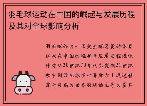 羽毛球运动在中国的崛起与发展历程及其对全球影响分析