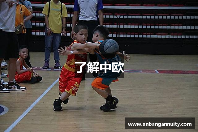 了解中欧
